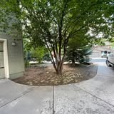 Tree bed and walkway