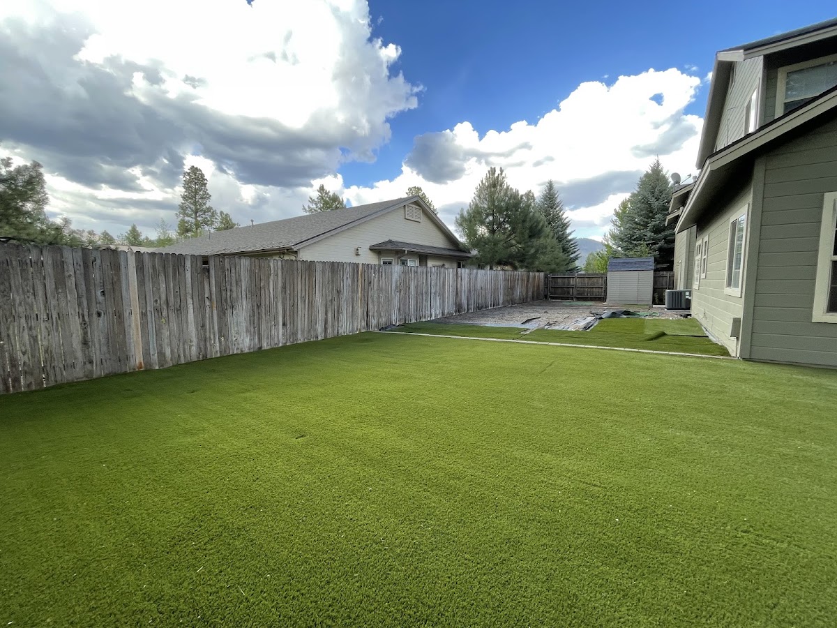 Finished green lawn in a fenced backyard